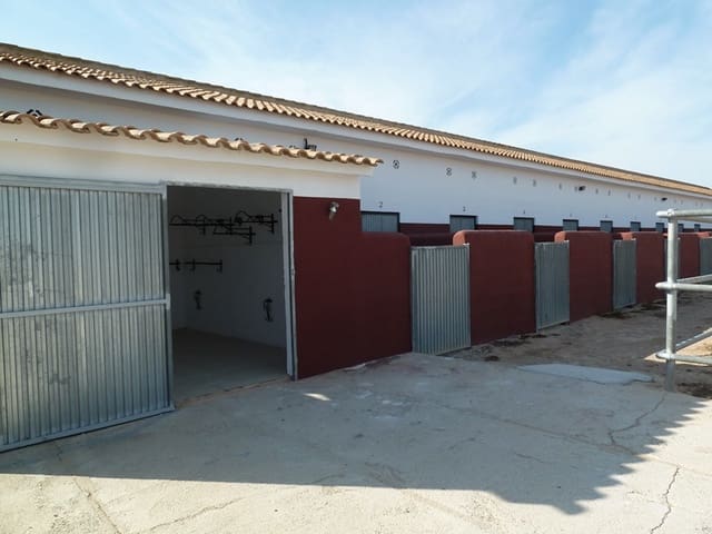 12 quarto Quinta/Casa Rural para venda em San Miguel de Salinas - 455 000 € (Ref: 9721148)