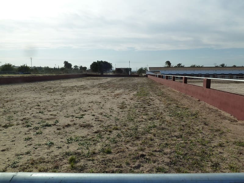 12 quarto Quinta/Casa Rural para venda em San Miguel de Salinas - 455 000 € (Ref: 9721148)