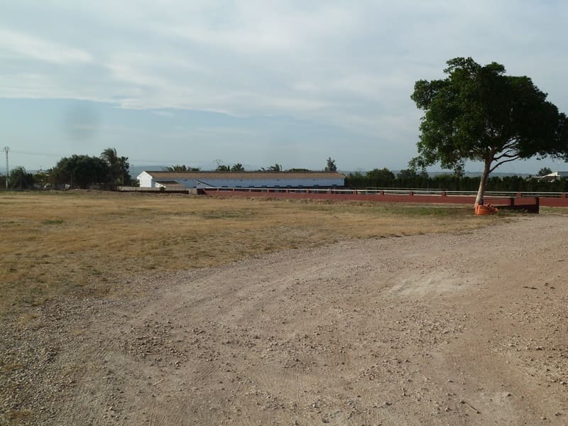 12 quarto Quinta/Casa Rural para venda em San Miguel de Salinas - 455 000 € (Ref: 9721148)