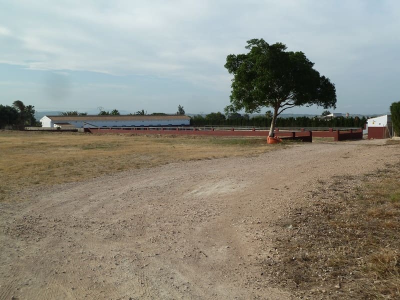 12 quarto Quinta/Casa Rural para venda em San Miguel de Salinas - 455 000 € (Ref: 9721148)