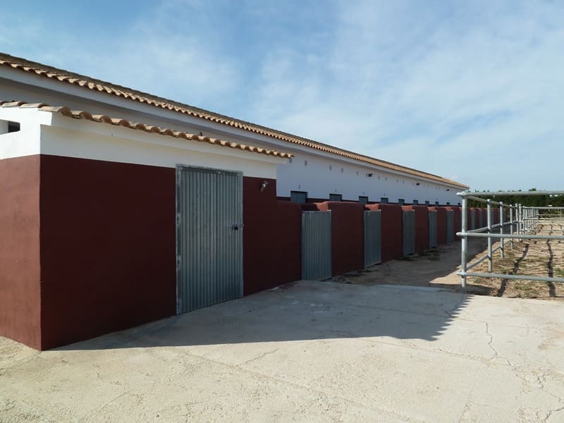 12 quarto Quinta/Casa Rural para venda em San Miguel de Salinas - 455 000 € (Ref: 9721148)