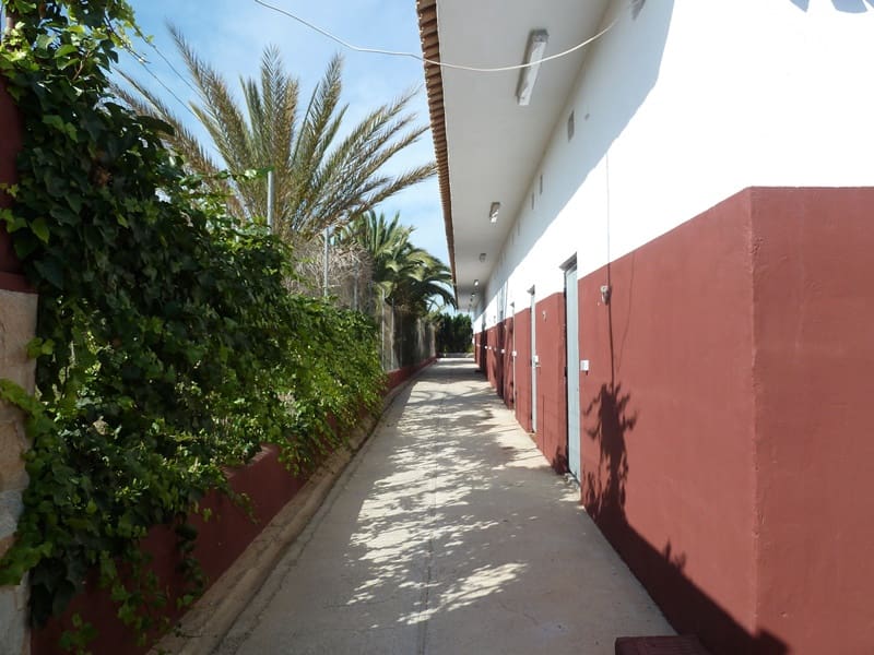 12 quarto Quinta/Casa Rural para venda em San Miguel de Salinas - 455 000 € (Ref: 9721148)