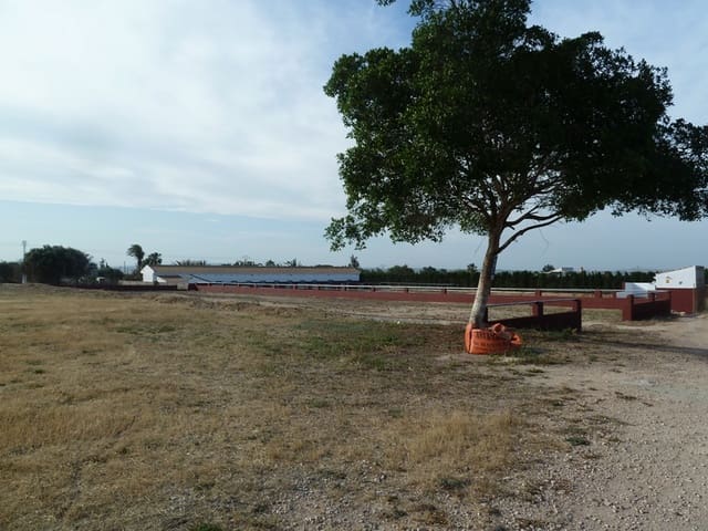 12 quarto Quinta/Casa Rural para venda em San Miguel de Salinas - 455 000 € (Ref: 9721148)