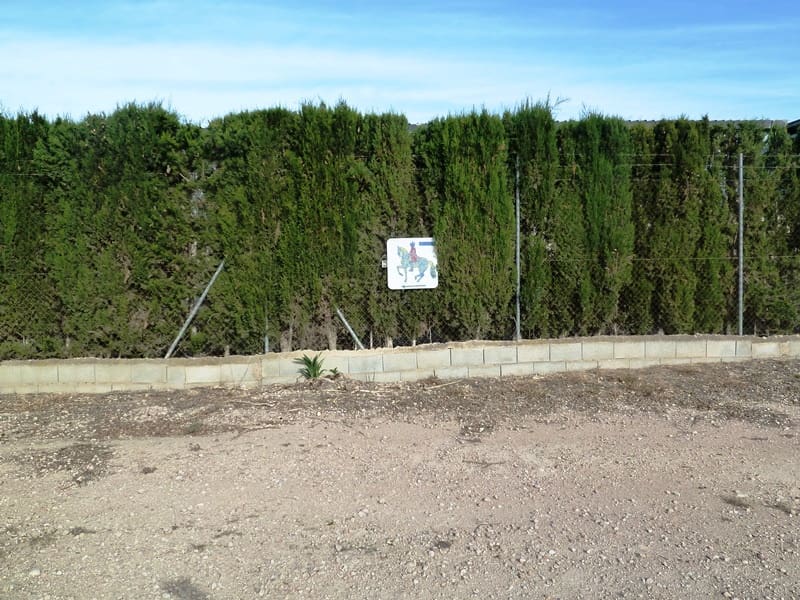 12 quarto Quinta/Casa Rural para venda em San Miguel de Salinas - 455 000 € (Ref: 9721148)