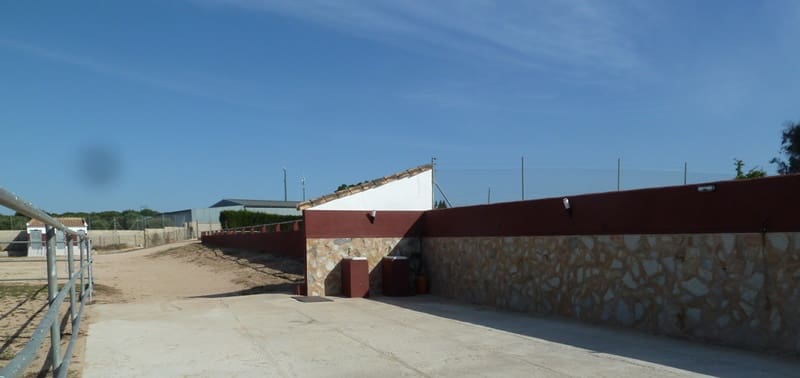 12 quarto Quinta/Casa Rural para venda em San Miguel de Salinas - 455 000 € (Ref: 9721148)