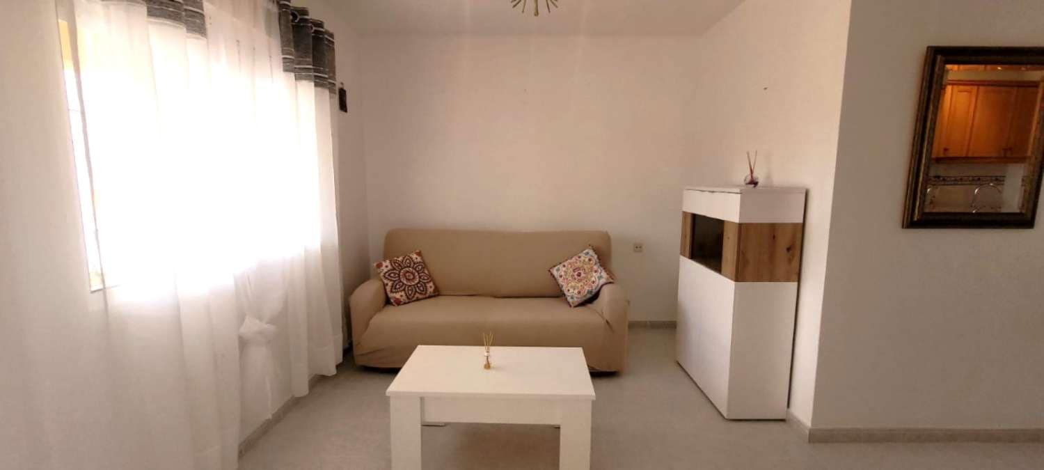 Bungalow de 1 habitación en San Miguel de Salinas en alquiler con piscina - 610 € (Ref: 9815589)
