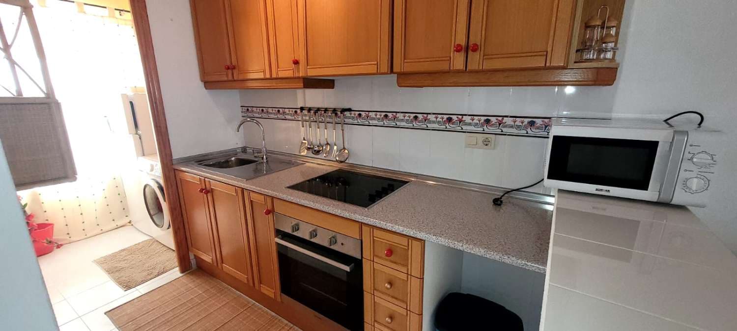 Bungalow de 1 habitación en San Miguel de Salinas en alquiler con piscina - 610 € (Ref: 9815589)