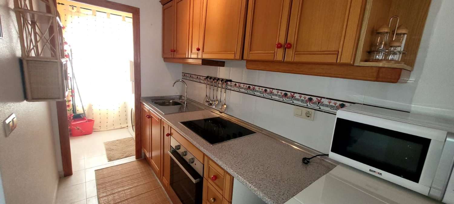 Bungalow de 1 habitación en San Miguel de Salinas en alquiler con piscina - 610 € (Ref: 9815589)