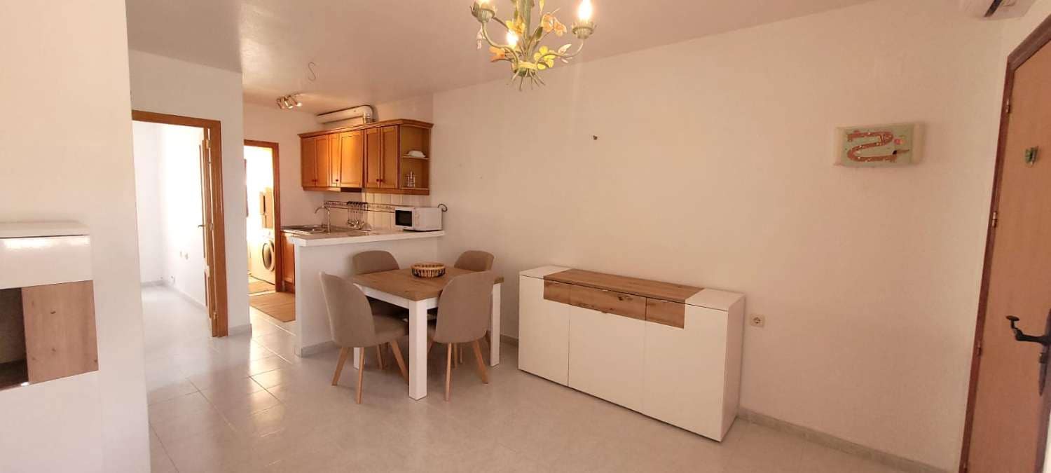 Bungalow de 1 habitación en San Miguel de Salinas en alquiler con piscina - 610 € (Ref: 9815589)