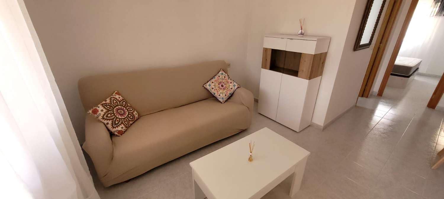 Bungalow de 1 habitación en San Miguel de Salinas en alquiler con piscina - 610 € (Ref: 9815589)