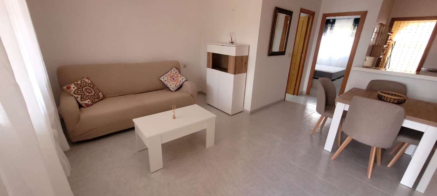 Bungalow de 1 habitación en San Miguel de Salinas en alquiler con piscina - 610 € (Ref: 9815589)