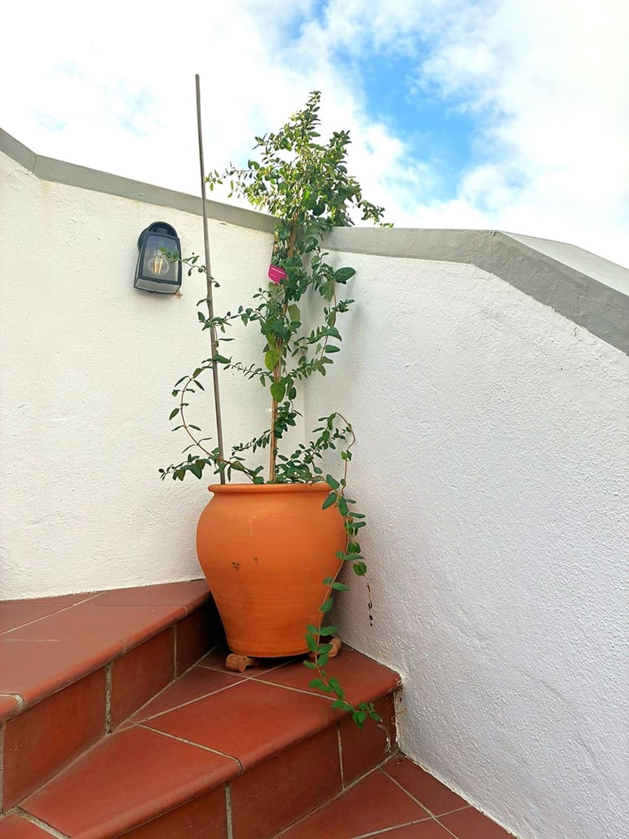3 camera da letto Attico in vendita in Los Arqueros con piscina garage - 664.500 € (Rif: 10045876)