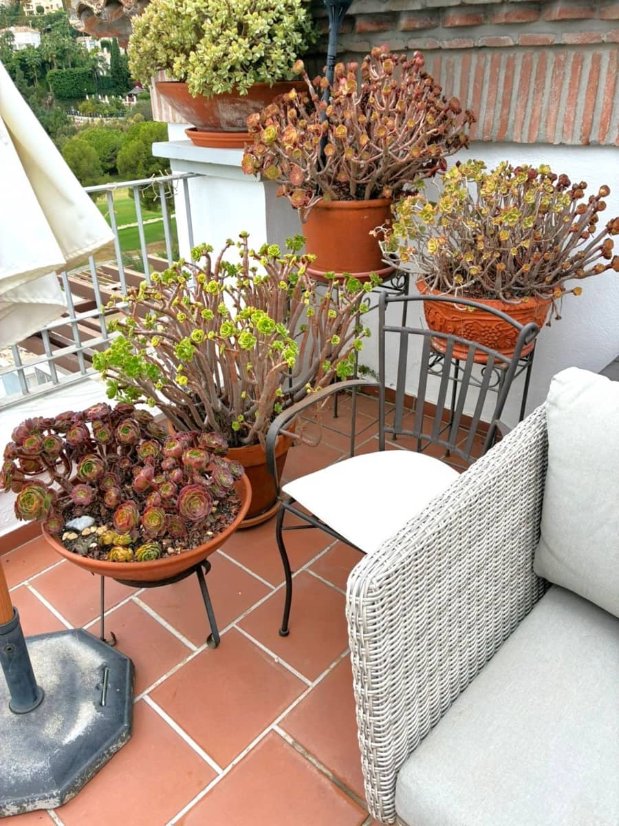 3 camera da letto Attico in vendita in Los Arqueros con piscina garage - 664.500 € (Rif: 10045876)