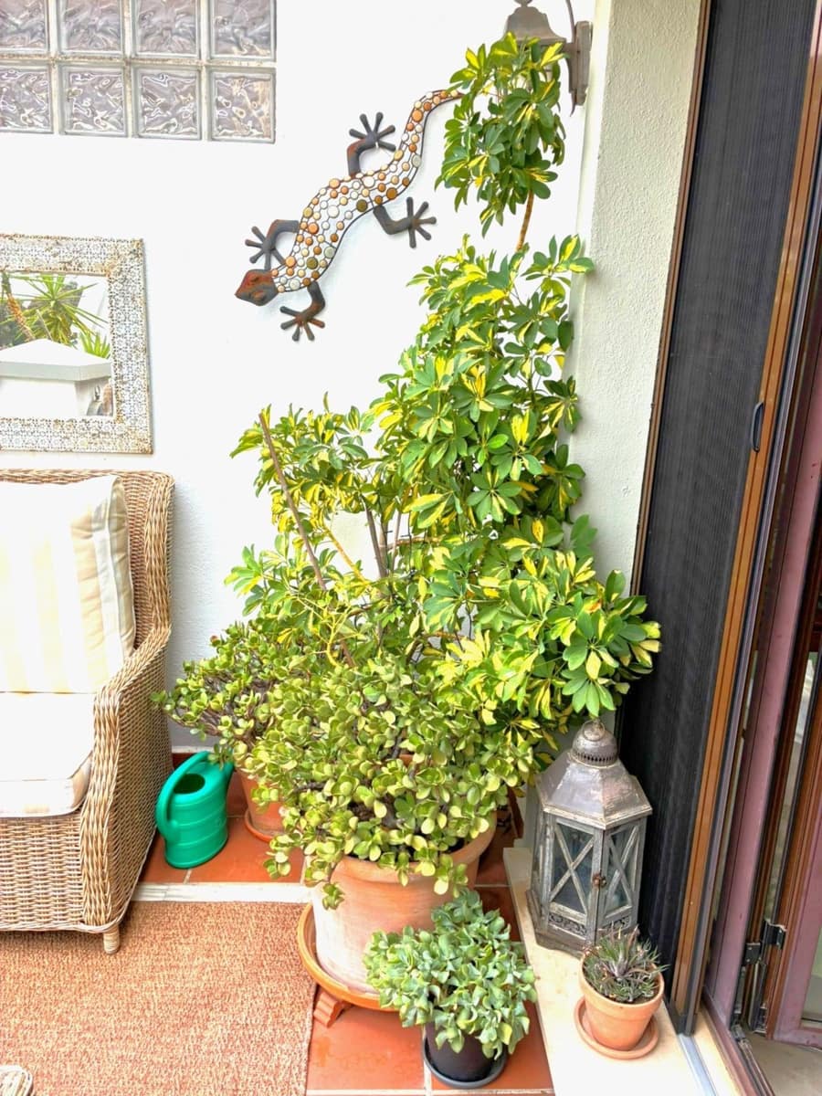 3 camera da letto Attico in vendita in Los Arqueros con piscina garage - 664.500 € (Rif: 10045876)
