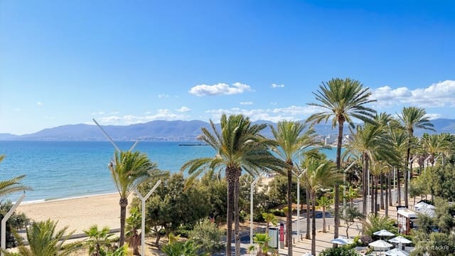2 bedroom Apartment for rent in Las Maravillas, Palma de Mallorca - € 1,600 (Ref: 10045731)