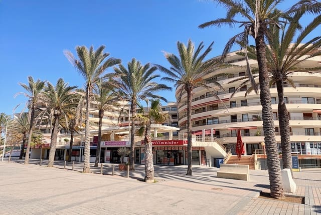 2 bedroom Apartment for rent in Las Maravillas, Palma de Mallorca - € 1,600 (Ref: 10045731)