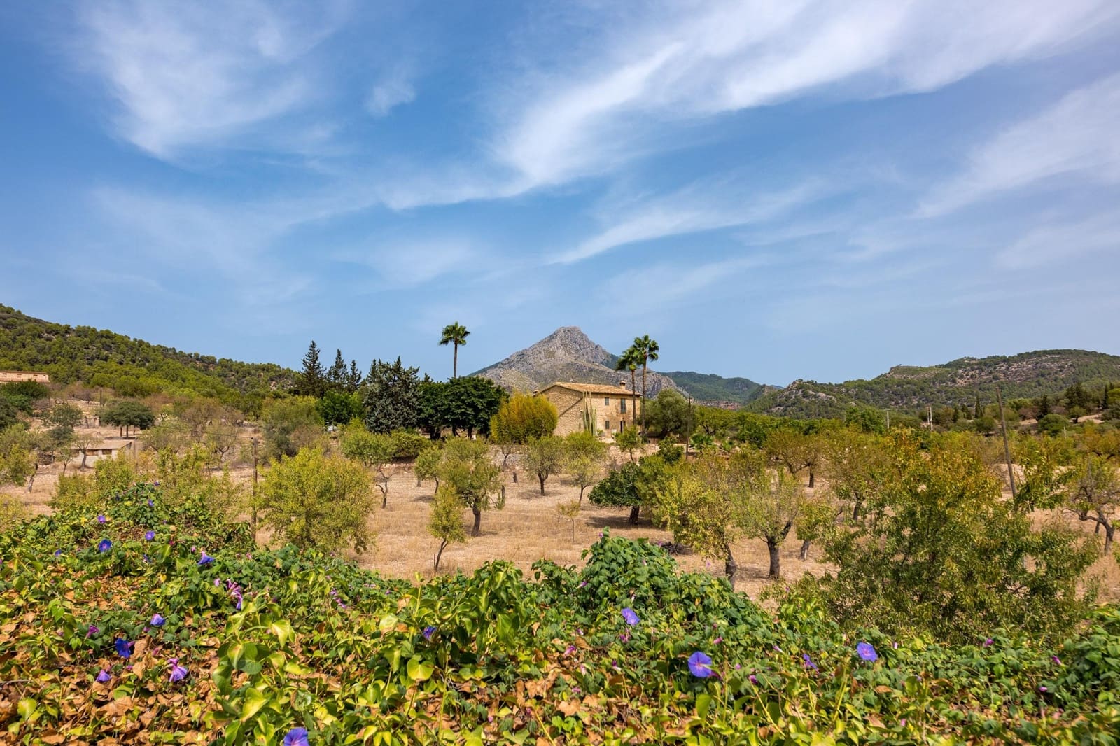 3 slaapkamer Finca/Landhuis te koop in Es Capdella met zwembad garage - € 1.995.000 (Ref: 10091333)