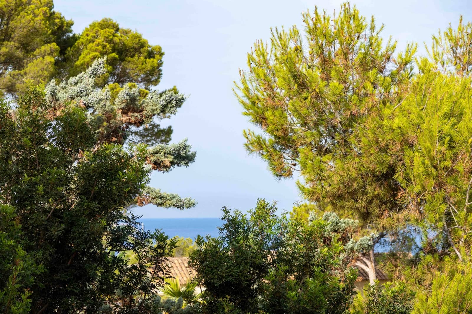 4 soverom Villa til salgs i Costa de la Calma med svømmebasseng garasje - € 1 790 000 (Ref: 10124772)