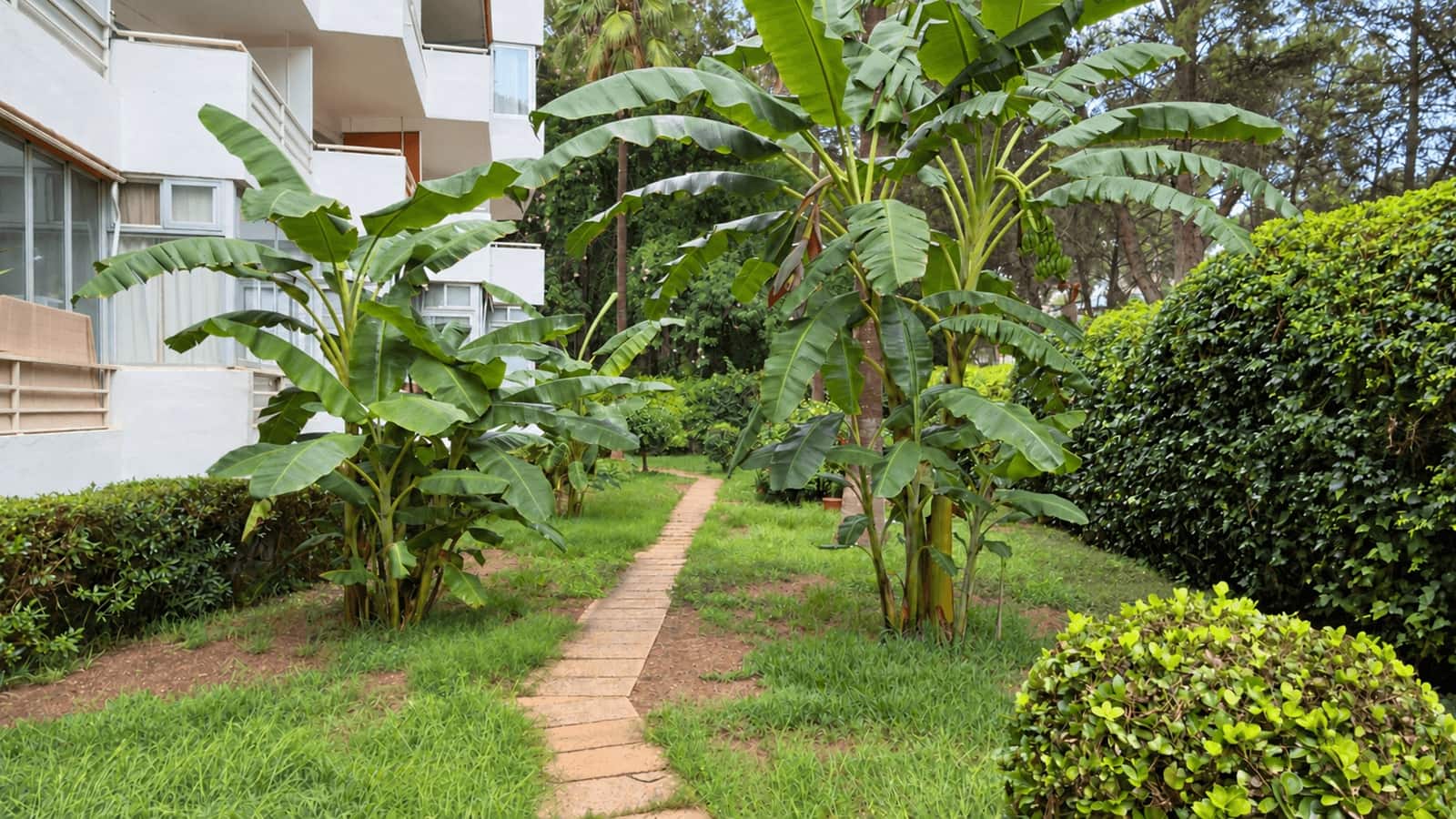 Apartamento para venda em Costa de la Calma - 265 000 € (Ref: 10163220)
