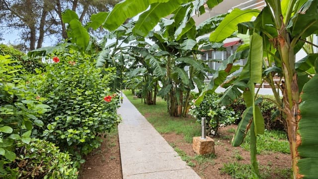 Apartamento para venda em Costa de la Calma, Calvià - 265 000 € (Ref: 10163220)