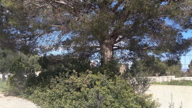 Rakentamaton maa myytävänä paikassa Sa Coma, Sant Llorenç des Cardassar - 225 000 € (Ref: 7526687)