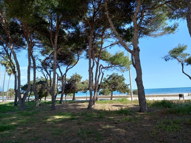 Rakentamaton maa myytävänä paikassa Sa Coma, Sant Llorenç des Cardassar - 225 000 € (Ref: 7526687)