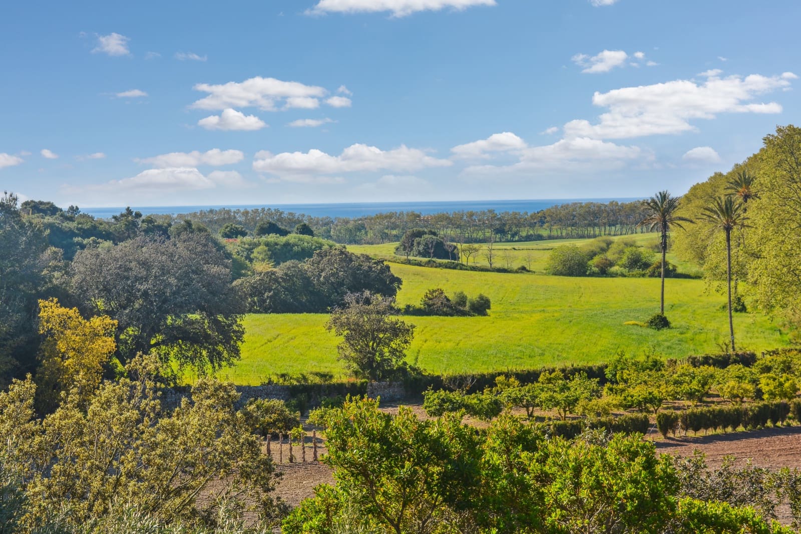 2 soveværelse Finca/Landehus til salg i Son Servera med garage - € 1.150.000 (Ref: 7529623)