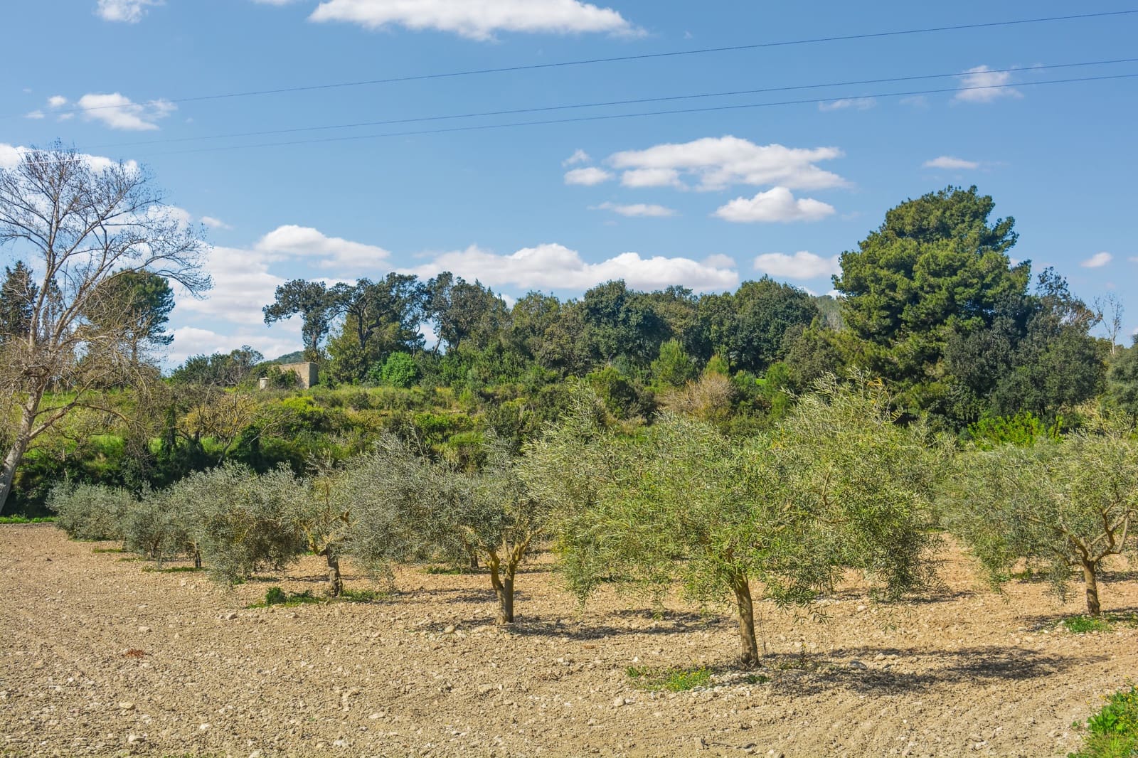 2 soveværelse Finca/Landehus til salg i Son Servera med garage - € 1.150.000 (Ref: 7529623)