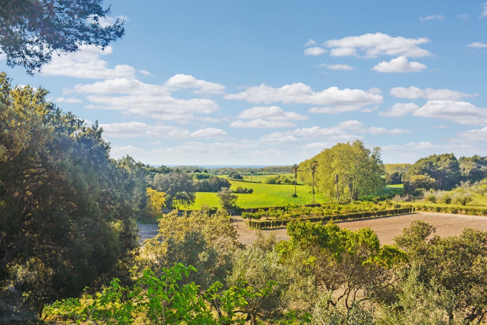 2 soveværelse Finca/Landehus til salg i Son Servera med garage - € 1.150.000 (Ref: 7529623)