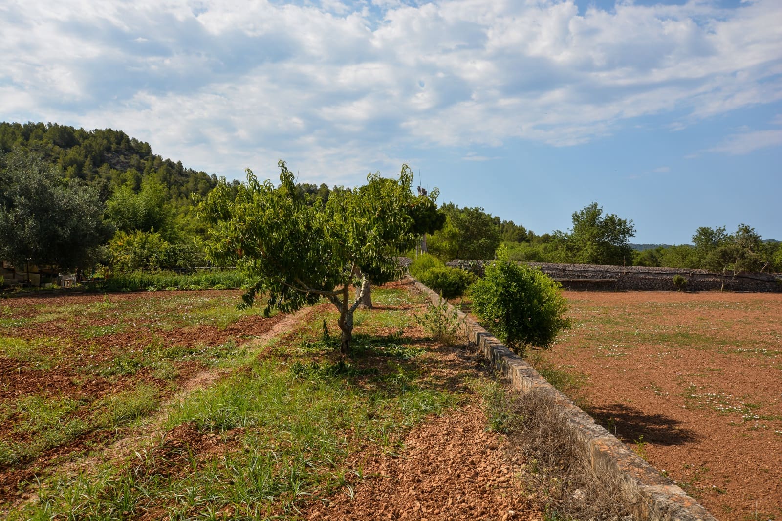 5 bedroom Finca/Country House for sale in Son Servera with pool garage - € 1,260,000 (Ref: 7685718)