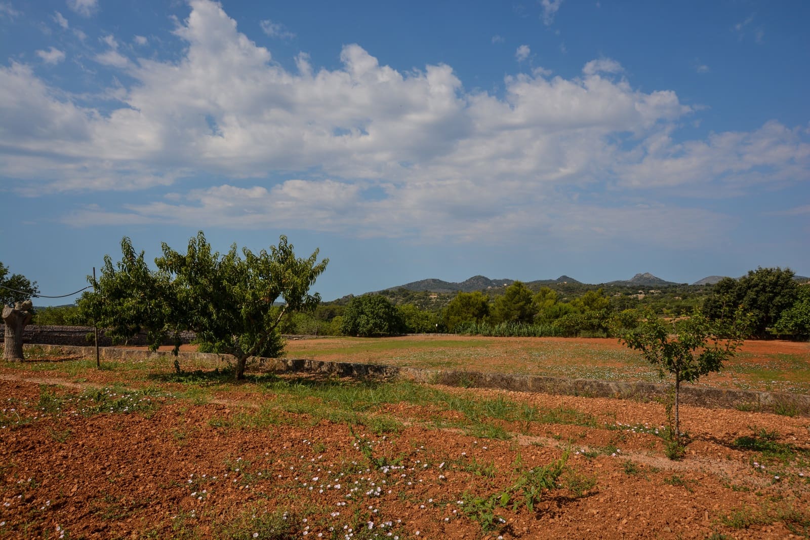 5 bedroom Finca/Country House for sale in Son Servera with pool garage - € 1,260,000 (Ref: 7685718)