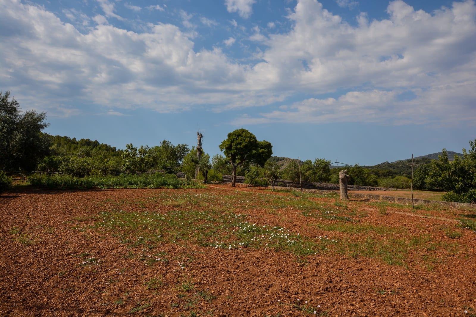 5 bedroom Finca/Country House for sale in Son Servera with pool garage - € 1,260,000 (Ref: 7685718)