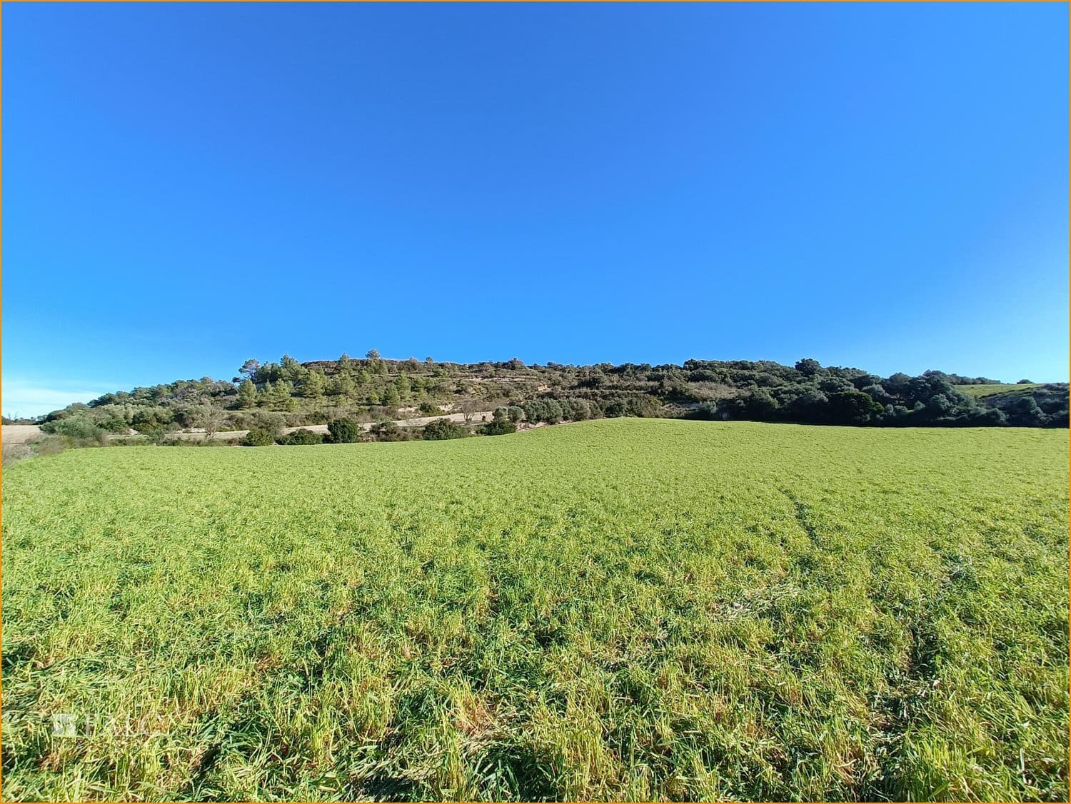 Grond te koop in Manacor - € 396.000 (Ref: 8104399)