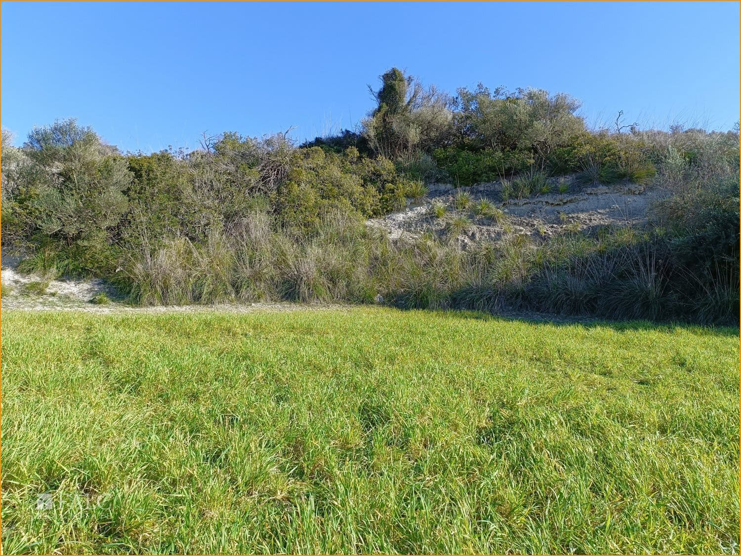 Grond te koop in Manacor - € 396.000 (Ref: 8104399)