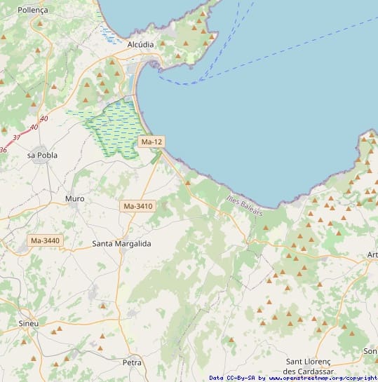 7 sypialnia Willa na sprzedaż w Santa Margalida z basenem garażem - 4 600 000 € (Ref: 8215383)