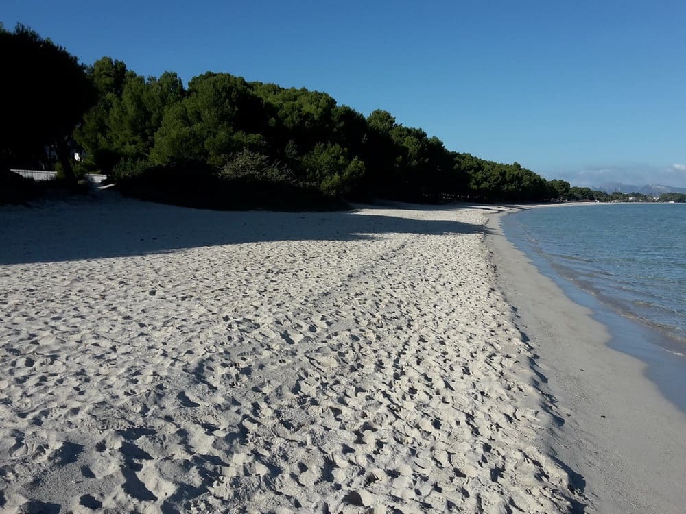 7 sypialnia Willa na sprzedaż w Santa Margalida z basenem garażem - 4 600 000 € (Ref: 8215383)