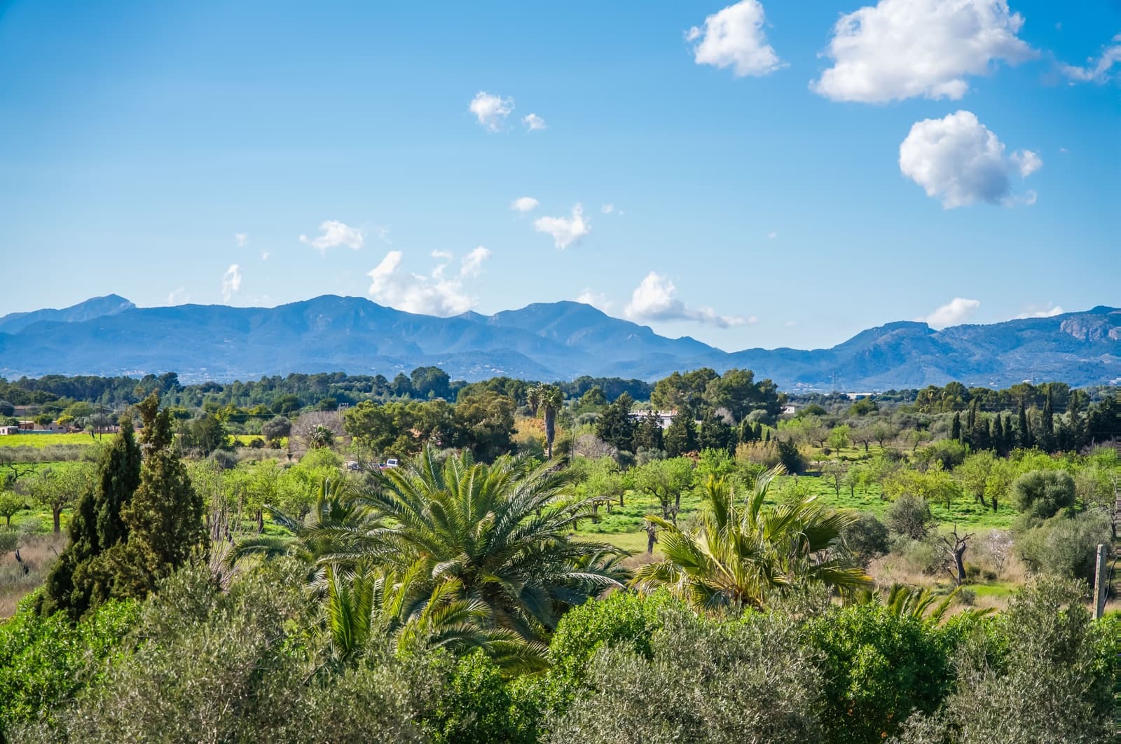 6 bedroom Villa for sale in Marratxi with pool garage - € 3,200,000 (Ref: 8263939)