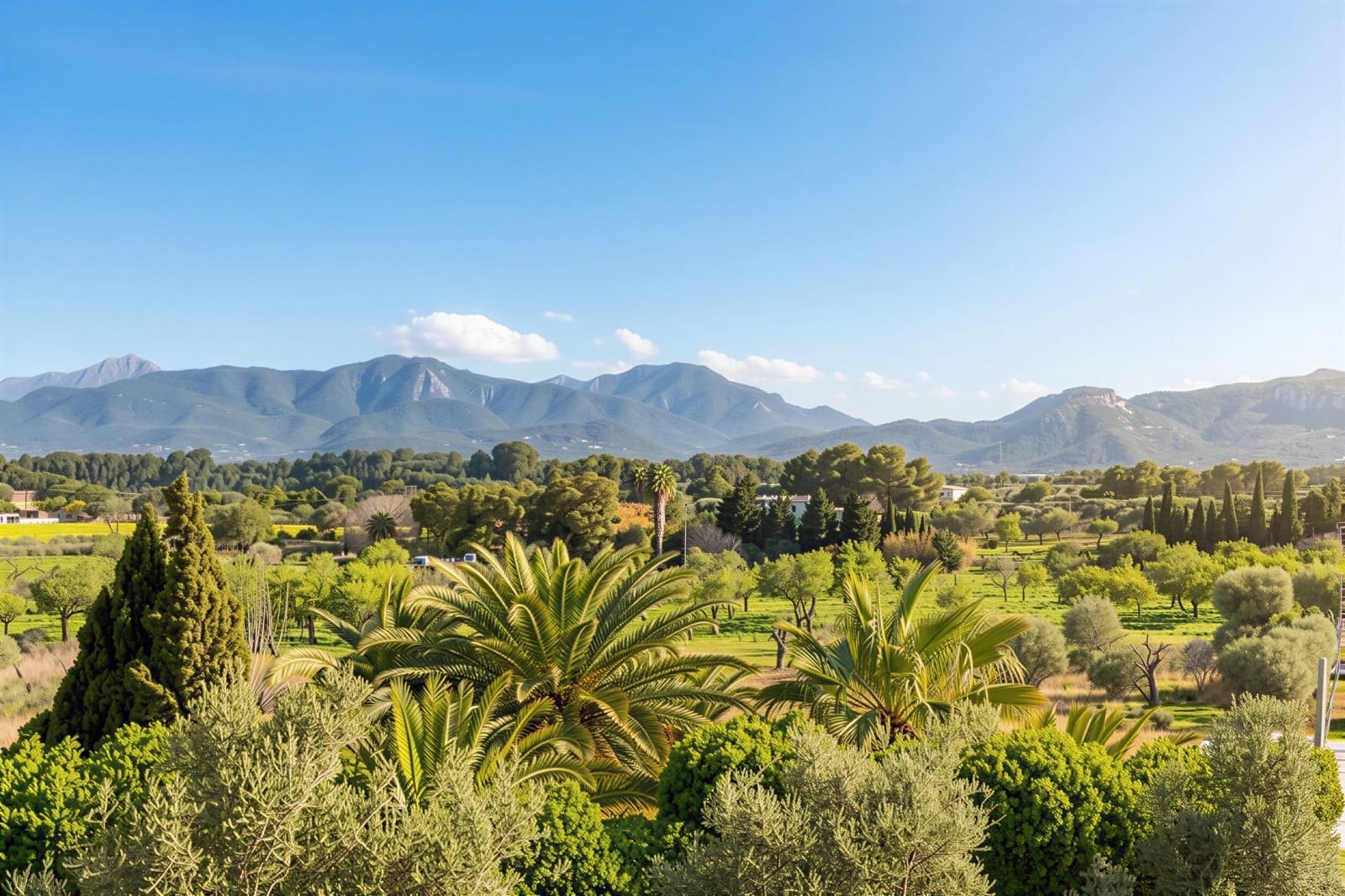 6 bedroom Villa for sale in Marratxi with pool garage - € 3,200,000 (Ref: 8263939)
