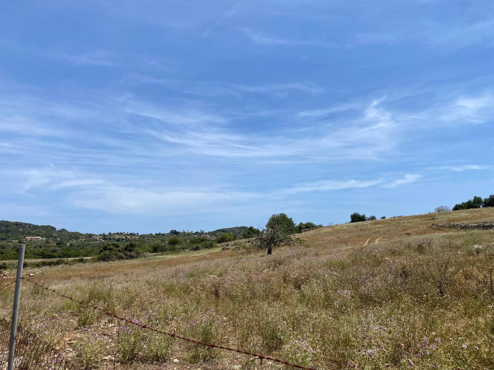 Grunde uden byggetilladelser til salg i Son Servera - € 355.000 (Ref: 8397789)