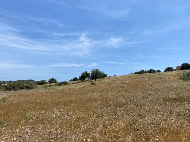 Undeveloped Land for sale in Son Servera - € 355,000 (Ref: 8397789)