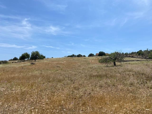 Undeveloped Land for sale in Son Servera - € 355,000 (Ref: 8397789)