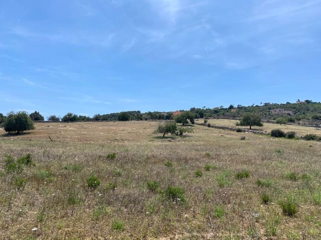 Undeveloped Land for sale in Son Servera - € 355,000 (Ref: 8397789)