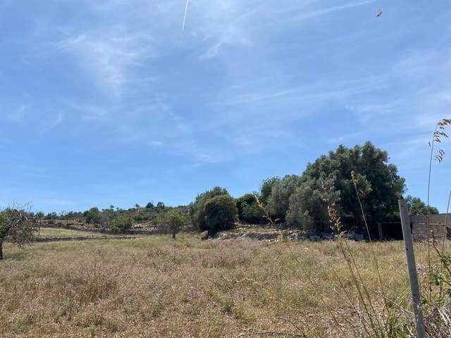 Undeveloped Land for sale in Son Servera - € 355,000 (Ref: 8397789)