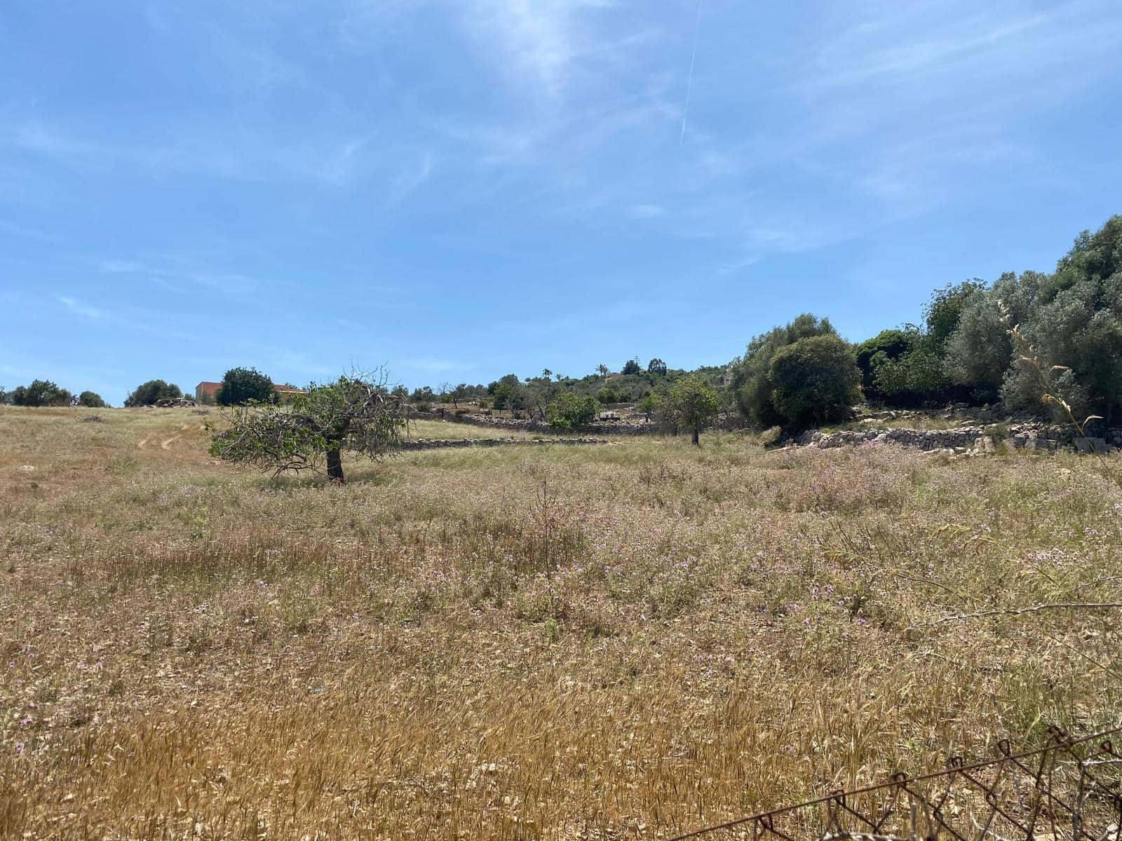 Grunde uden byggetilladelser til salg i Son Servera - € 355.000 (Ref: 8397789)