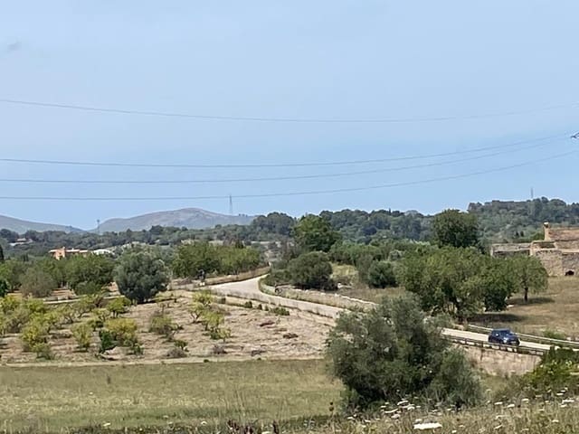 Undeveloped Land for sale in Son Servera - € 380,000 (Ref: 8397790)