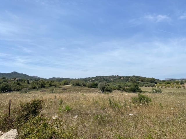 Undeveloped Land for sale in Son Servera - € 380,000 (Ref: 8397790)