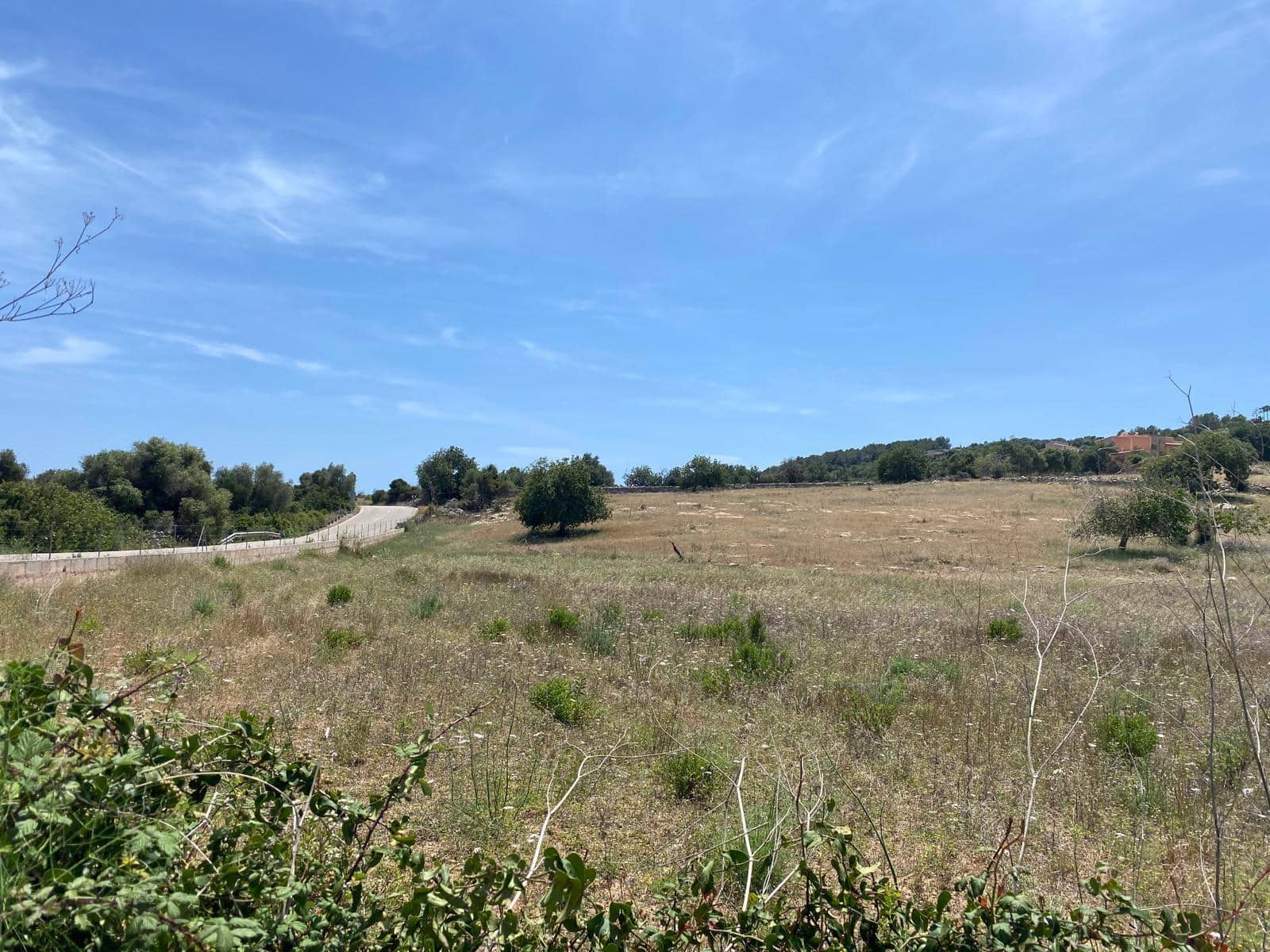 Terreno Non Edificato in vendita in Son Servera - 330.000 € (Rif: 8401627)