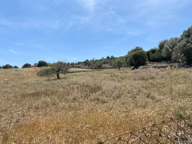 Undeveloped Land for sale in Son Servera - € 330,000 (Ref: 8401627)