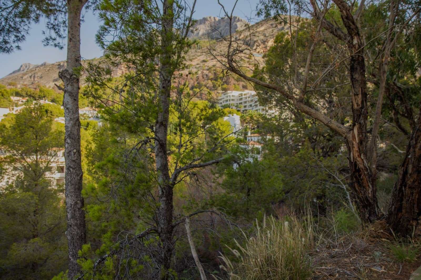 Grunde uden byggetilladelser til salg i Altea - € 175.000 (Ref: 8531575)