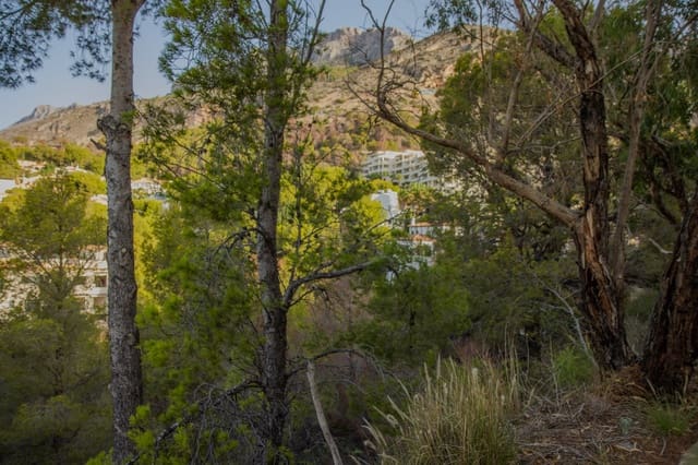 Undeveloped Land for sale in Altea - € 175,000 (Ref: 8531575)